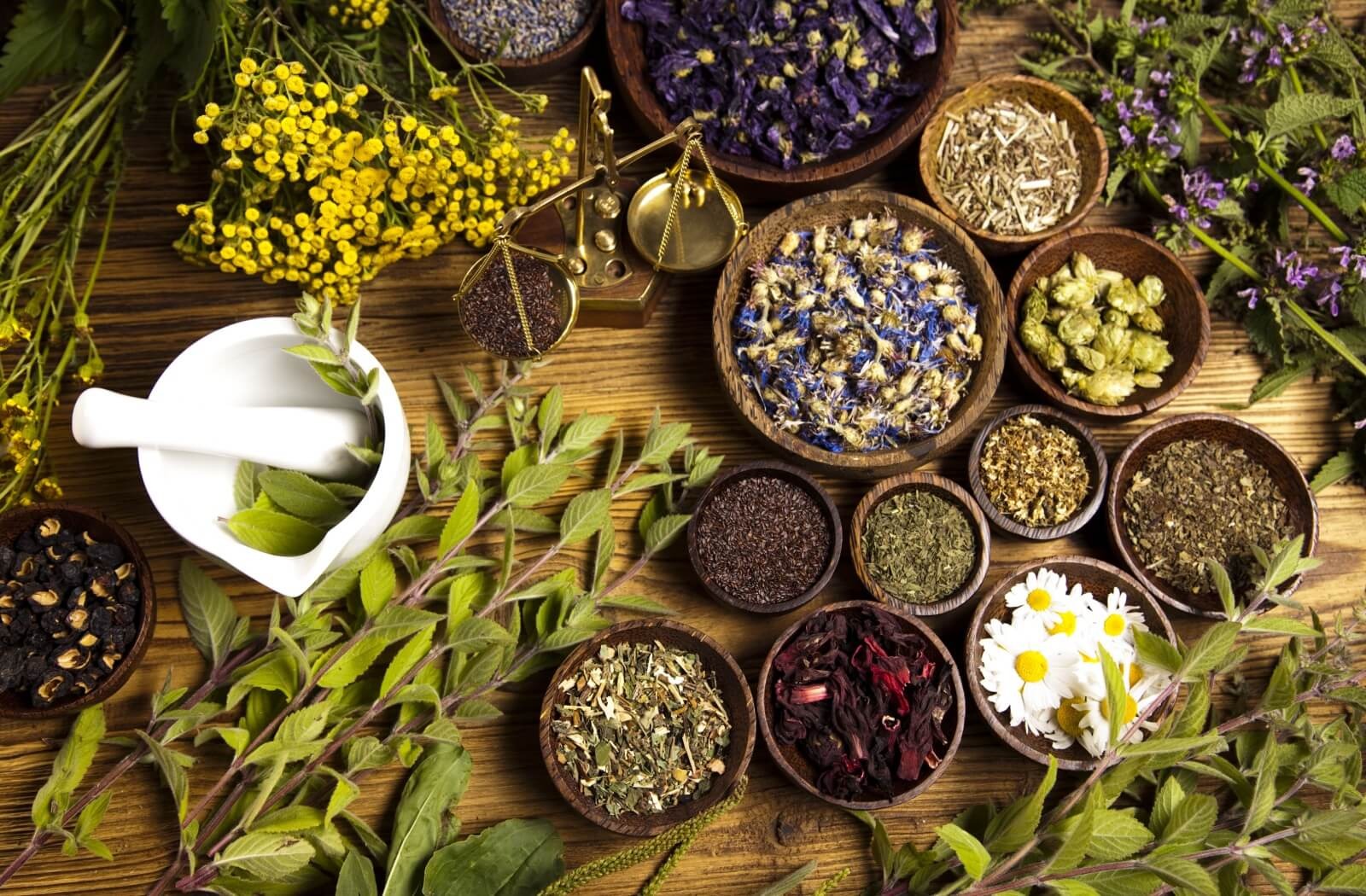 Herbology